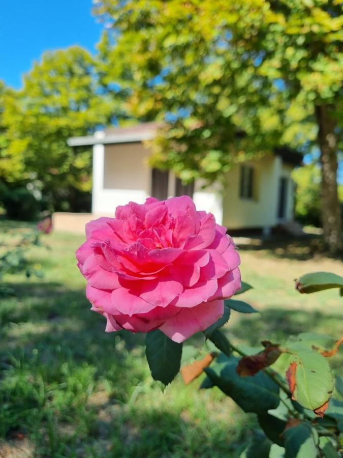 Fuk-Tak'S Bungalow Dojran Esterno foto