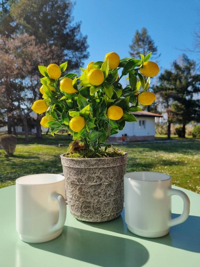 Fuk-Tak'S Bungalow Dojran Esterno foto